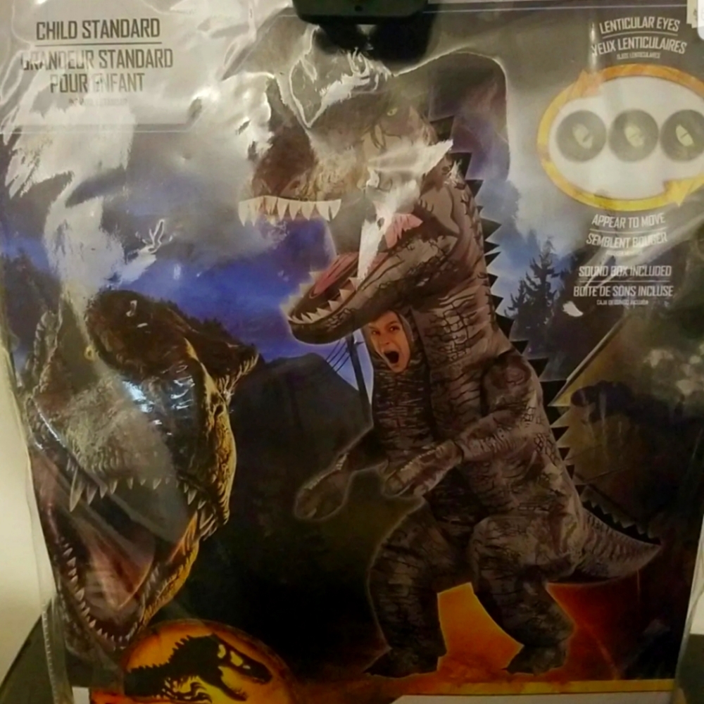 Child costume